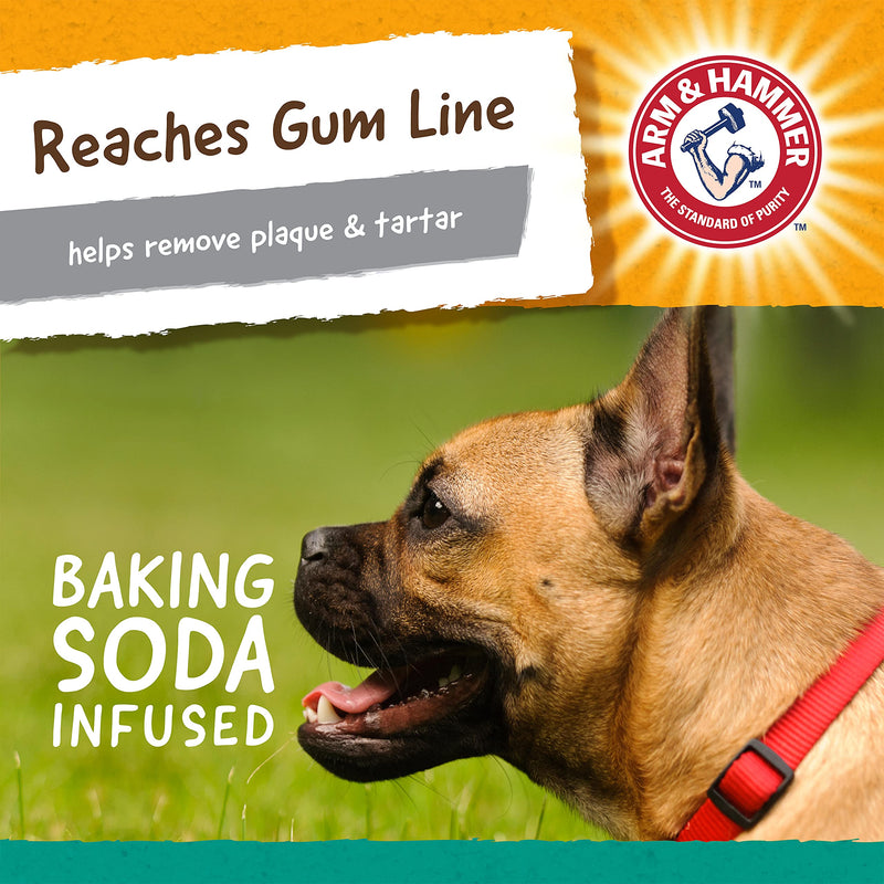 Arm & Hammer for Pets Ora-Play Dental Chew Toy for Dogs - Best Dog Chew Toy for Aggressive Chewers - Reduces Plaque & Tartar Buildup - Dog Chew Toys from, Dog Toys for Dog Teeth T-Bone - BeesActive Australia