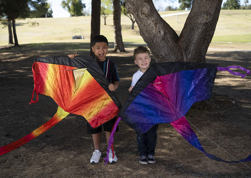 JOYIN 3 Packs Delta Rainbow Kite Warm and Cold Color Easy to Fly Huge Kites for Kids and Adults with 262.5 ft Kite String, Large Delta Beach Kite for Outdoor Games and Activities - BeesActive Australia