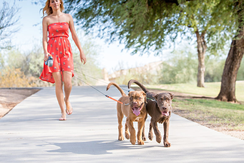 WIGZI Original Dual Doggie Reflective Retractable Dog Leash - 360 Degrees, No Tangle - Walk 2 Pets up to 50 lbs Each - Two 10ft Orange & Green Leads w/ Locking System - BeesActive Australia