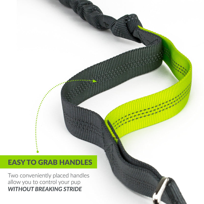 Tuff Mutt Hands Free Dog Leash for Running, Walking, Hiking, Durable Dual-Handle Bungee Leash is 4 Feet Long with Reflective Stitching, Adjustable Waist Belt That Fits 42 Inch Waist green/gray - BeesActive Australia