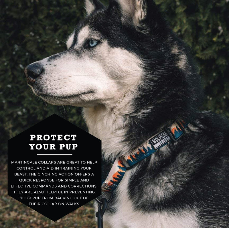 Wolfgang Man & Beast Premium Martingale Dog Collar for Small Medium Large Dogs, Made in USA Medium (1 Inch x 14-18 Inch) OverLand Print - BeesActive Australia
