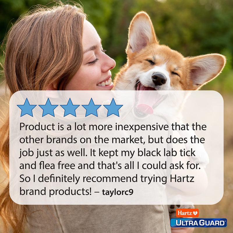 Hartz UltraGuard Dual Action Flea & Tick Topical Dog Treatment and Flea and Tick Prevention, 6 Months,31-60 Pound Dogs - BeesActive Australia