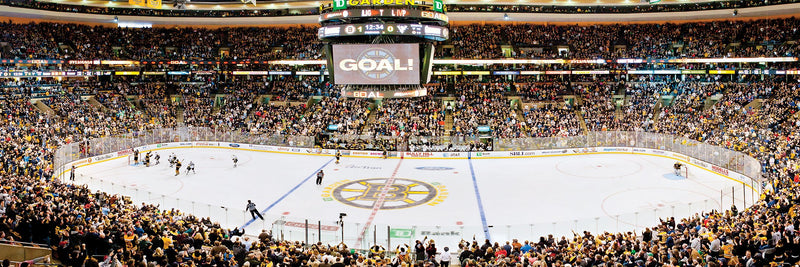 MasterPieces NHL 1000-Piece Stadium Panoramic Jigsaw Puzzle Boston Bruins - BeesActive Australia