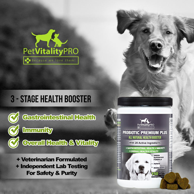 PetVitalityPRO Probiotics for Dogs with Natural Digestive Enzymes ● 4 Bill CFUs/2 Soft Chews ● Dog Diarrhea Upset Stomach Yeast Gas Bad Breath Immunity Allergies Skin Itching Hot Spots 150 - BeesActive Australia