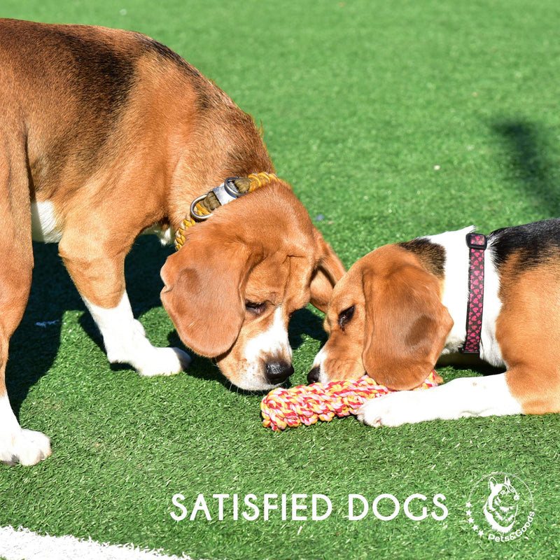 Dog Toys - Puppy Chew Toys - Rope Toys for Small Dogs - Safe Puppy Teething Toys - Small Dog Chew Toys Set - Teething Puppy Toys - Dog Rope Toys - Dog Toys Pack of 9 - Washable Cotton Rope Dog Toy - BeesActive Australia