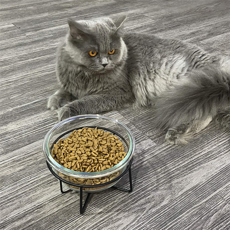 Glass Raised Cat or Small Dog Dishes with Metal Stand, 20 Ounces Pet Food or Water Bowls ,Transparent - BeesActive Australia