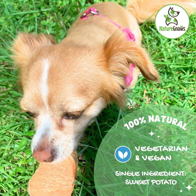 Nature Gnaws Sweet Potato Chips for Dogs - Single Ingredient Natural Dog Chew Treats - 12 oz - BeesActive Australia