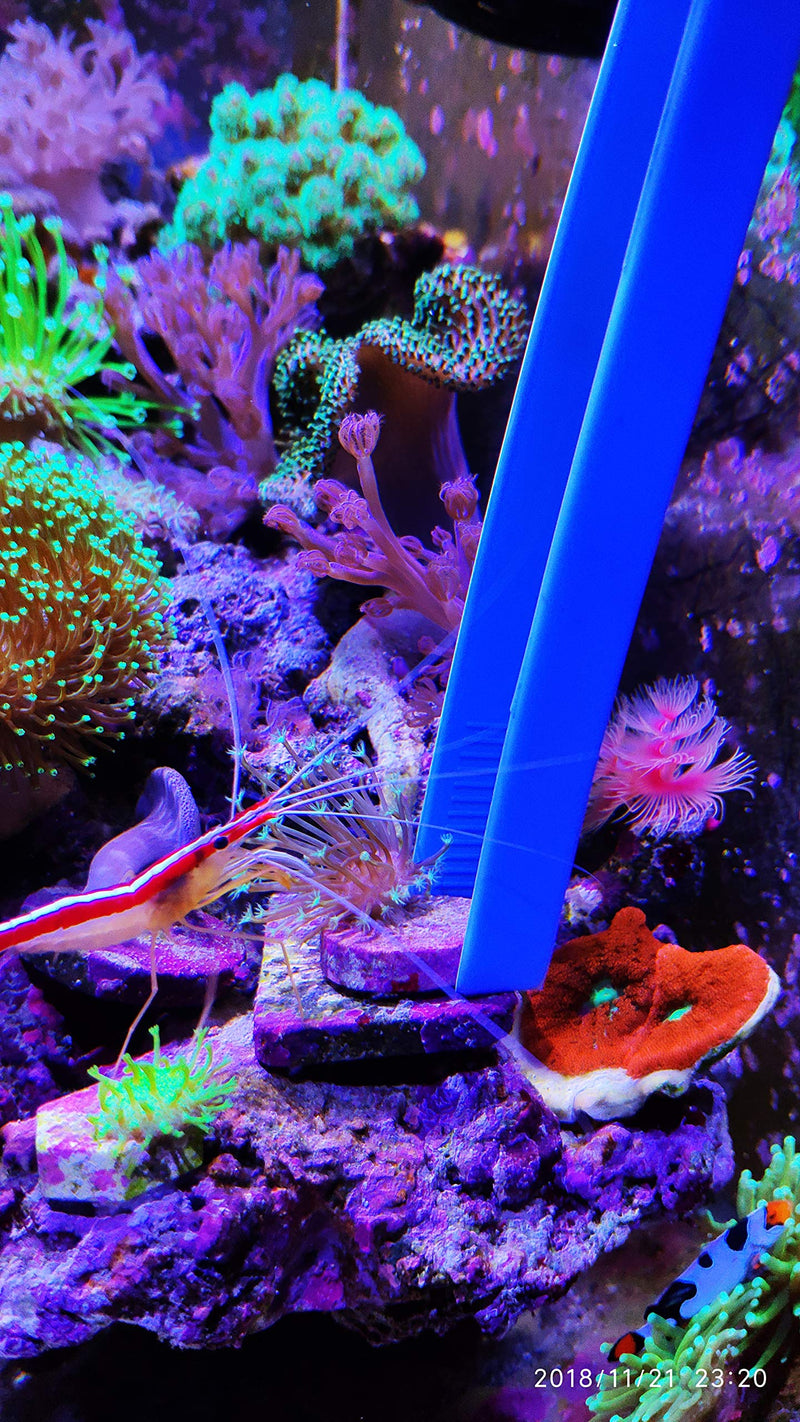 Aquarium Choice Coral Feeder Aquatic Plant Tweezers Tongs Coral frag Clip Tweezers Never Rust - BeesActive Australia