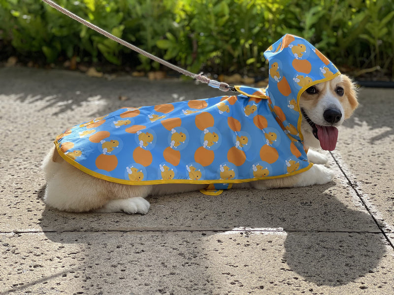 Pooch & Paws Hooded Dog Raincoat Poncho Reflective Waterproof Adjustable Rain Jacket for Small Medium Large Dogs - BeesActive Australia