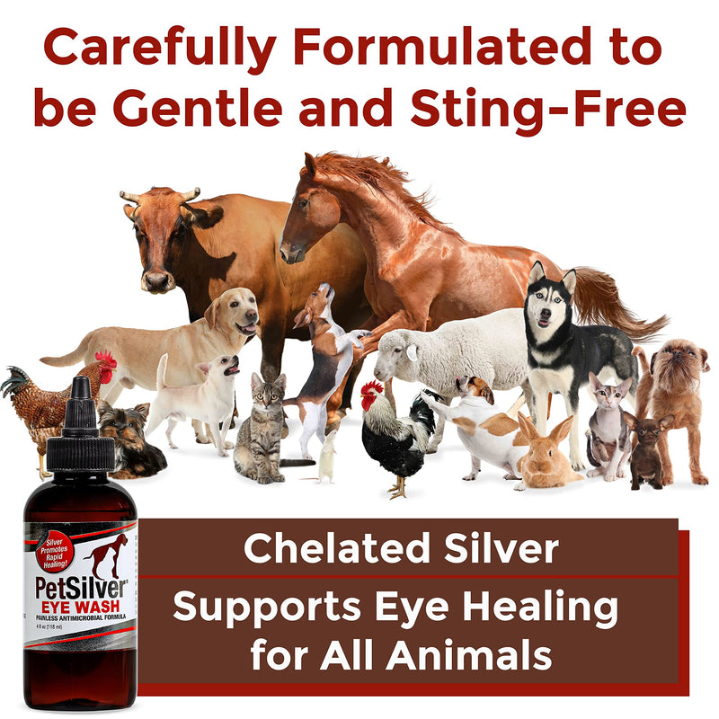 PetSilver Eye Wash Drops for Dogs and Cats with Chelated Silver, Made in USA, Natural Eye Solution, Relief for Inflammation & Eye Irritation, Easy to Apply 4 oz - BeesActive Australia