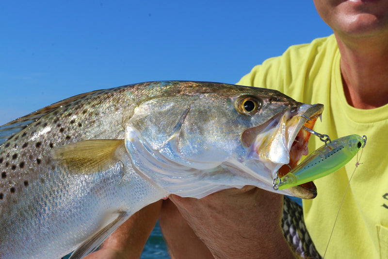 [AUSTRALIA] - Yo-Zuri 3D Inshore Twitchbait Slow Sinking 3 1/2 Inch Lipless Crankbait Mullet 