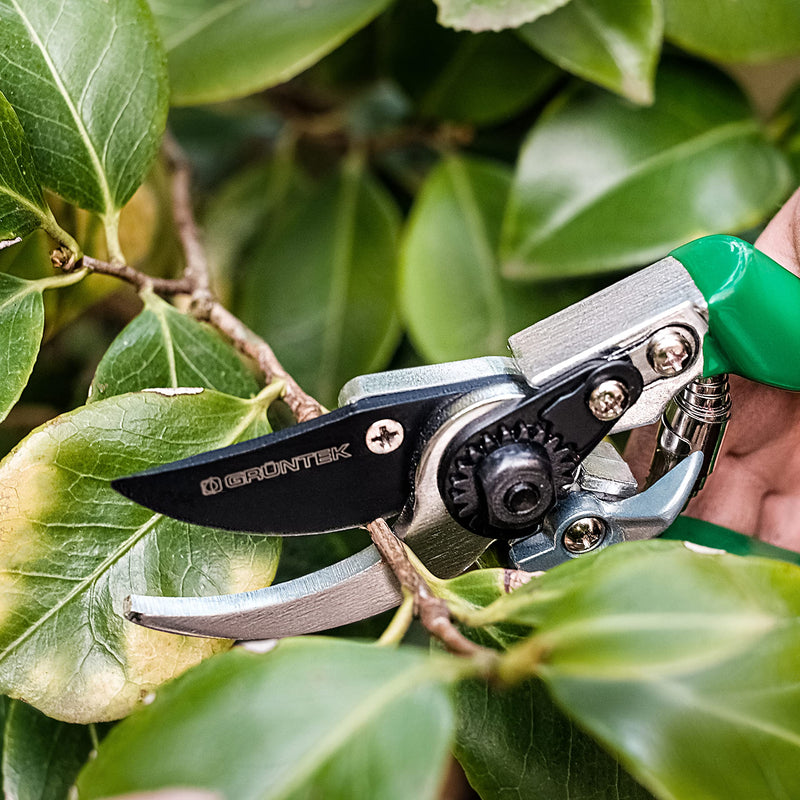 GRÜNTEK BYPASS Garden Pruning Shears FALCON Blade 48 mm / 1.9", Japanese SK5 Steel Blade, TEFLON Coated, Precision Cutting, Ergonomic Handles Garden Pruners - BeesActive Australia