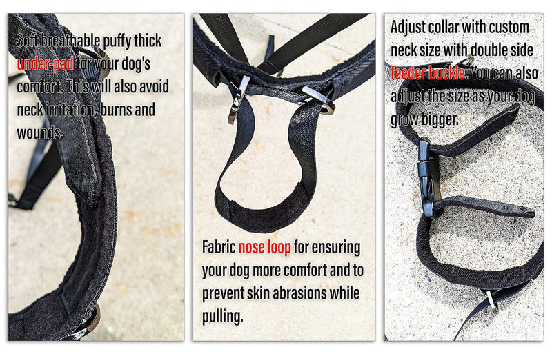 Pets ProMax – Dog Headcollar, No-Pull Dog Collar, Dog Walking/Training Dog Collar | Head Halter Collar for Dogs | Training Collar for Dogs to Stop Pulling While Walking. L (Large) - BeesActive Australia