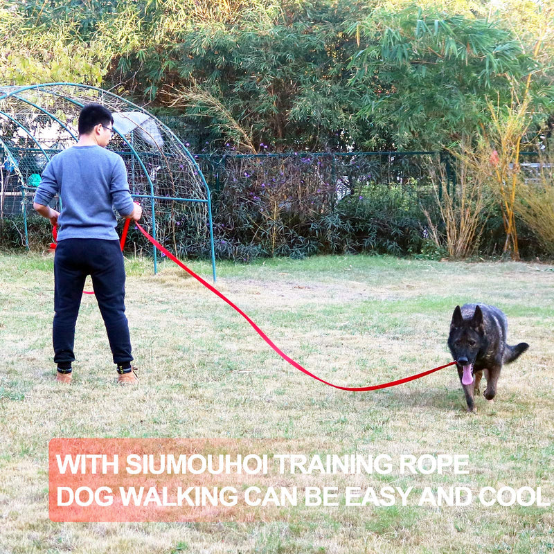 Siumouhoi Dog/Puppy Obedience Recall Training Agility Lead-15 ft 20 ft 30 ft 40 ft 50 ft Long Leash -for Training Leash, Play, Safety, Camping,or Backyard 20 Feet Purple - BeesActive Australia