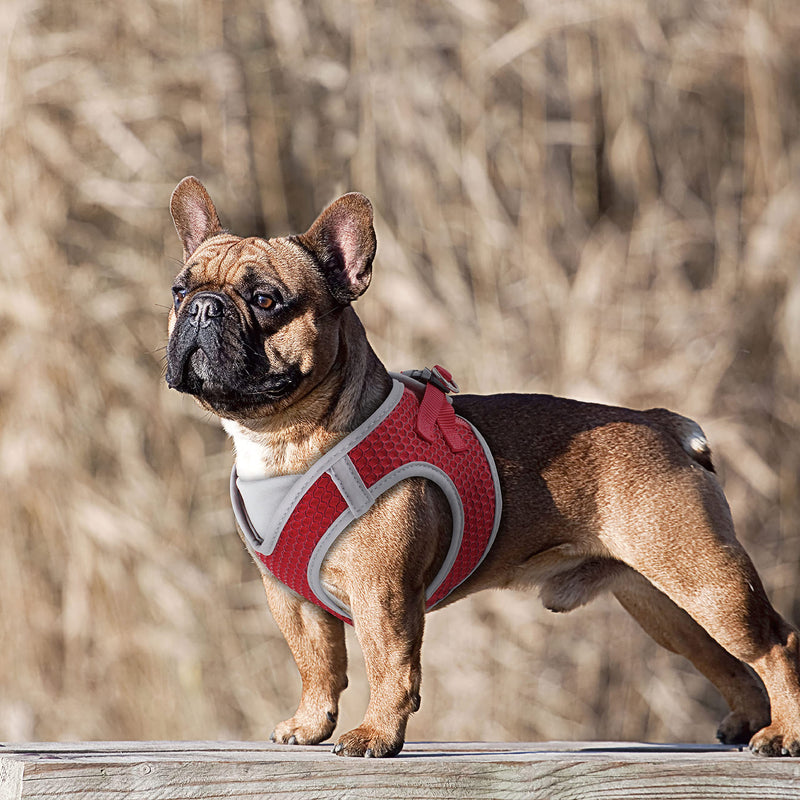 Kruz PET KZA308 Reflective V-Neck Step In Mesh Dog Harness - No Pull, Quick Fit, Comfortable, Velcro-Adjustable Pet Harnesses for Walking & Training - Small, Medium Dogs Gray - BeesActive Australia