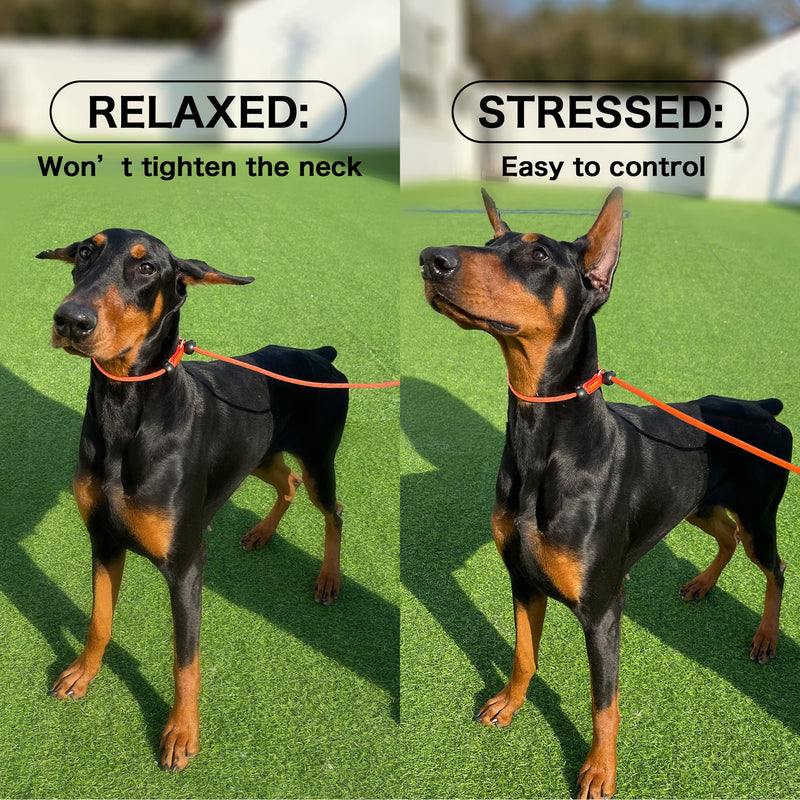 HOWGO Dog Slip Lead Dog Leash,Training Leash,Cinch Leash, No-Pull Slip Leash and Collar,Heavy Duty&Durable,Padded Handle,for All Breeds,5FT Purple - BeesActive Australia