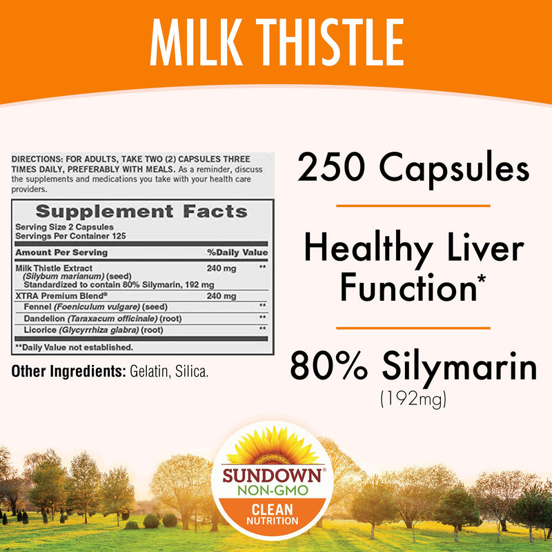 Milk Thistle by Sundown, Herbal Supplement, Supports Liver Health, Non-GMO, Free of Gluten, Dairy, Artificial Flavors, 80% Silymarin, 250 Capsules 250 Count (Pack of 1) - BeesActive Australia