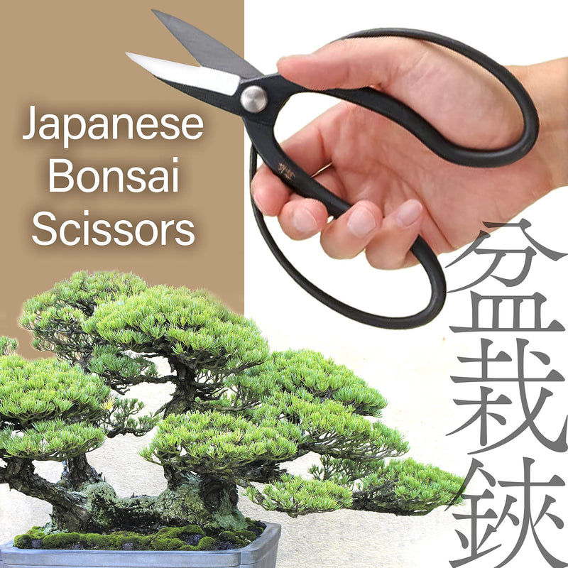 Japanese Suiryu Bonsai Scissors - Traditional Hasami Pruning Shears, Japanese Bonsai Garden Tools, Made in Japan (7.87inch) - BeesActive Australia