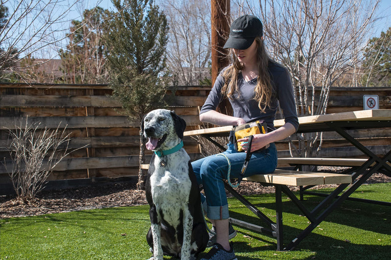 OllyDog Backcountry Day Bag, Fanny Pack, Dog Treat Pouch, Hands-Free for Training, Hip Pack with Built-in Poop Bag Dispenser, Removable Waist Belt Clip, Travel Dog Treat Container Tree Hugger - Night - BeesActive Australia