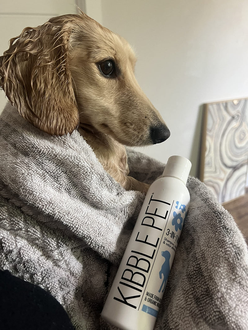 Dog Shampoo Professional Grooming, Coat Moisturizer & Soothes, Oatmeal and Aloe Vera Scent, Deodorizing Coat for Long Lasting Freshness, Hypoallergenic, Certified Organic, Made in The USA, 13.5 oz - BeesActive Australia
