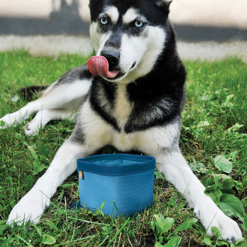 Kurgo Zippy Bowl, Collapsible Travel Dog Bowl, Pet Food & Hiking Water Bowl, Machine Washable Bowl for Dogs, Travel Accessories for Pets, BPA Free, Carabiner Blue - BeesActive Australia