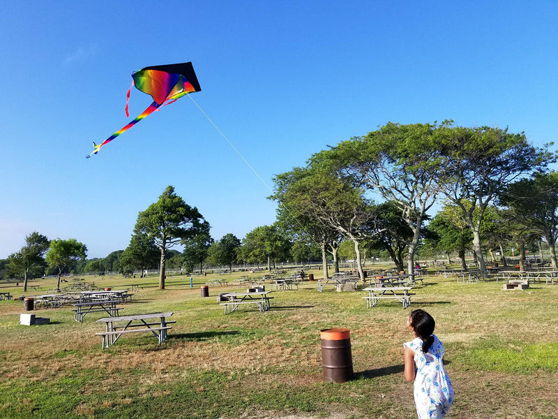 [AUSTRALIA] - Rainbow Delta and Diamond Kite (2sets) Kite for Kids Kite for Adults Easy Flying with Tail Flyer line and Handle Perfect for Outdoor Fun Beach Toys and Park Sports Comes with Carrying Bag 