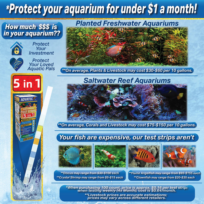 5 in 1 Aquarium Test Strips - for Fresh/Salt Water Aquariums, Lab Grade, Measure pH, Carbonate, General Hardness, Nitrite and Nitrate, for Professional Or Home Use - Fast & Accurate (25 Count) 25 Count - BeesActive Australia