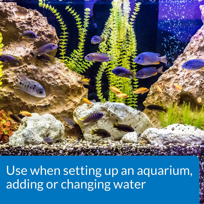 API TAP Water Conditioner, Instantly neutralizes Chlorine, chloramines and Other Chemicals to Make tap Water Safe for Fish, Highly Concentrated, Use When Adding or Changing Water and When Adding Fish 16 oz - BeesActive Australia