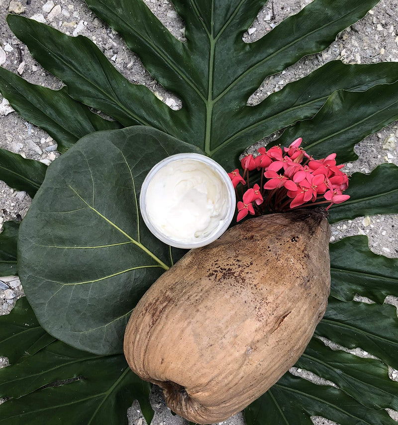 Coconut Sea Salt Body Cream - BeesActive Australia