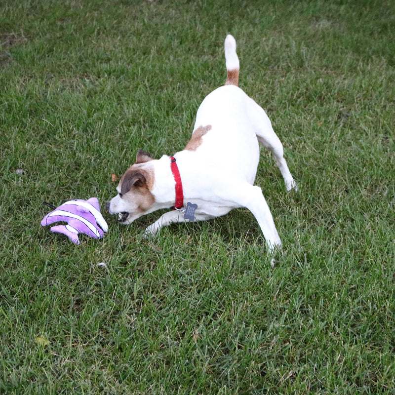 Snuggle Puppy Tender-Tuffs Tiny - Tough Plush Dog Toys for Puppies and Small Breeds - Stuffed Purple Angelfish with Puncture Resistant Squeaker - BeesActive Australia