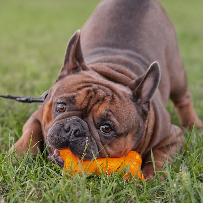 Chew King Bacon Flavor Rubber Bone - BeesActive Australia