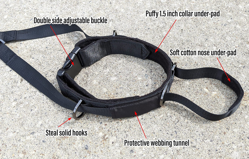 Pets ProMax – Dog Headcollar, No-Pull Dog Collar, Dog Walking/Training Dog Collar | Head Halter Collar for Dogs | Training Collar for Dogs to Stop Pulling While Walking. L (Large) - BeesActive Australia