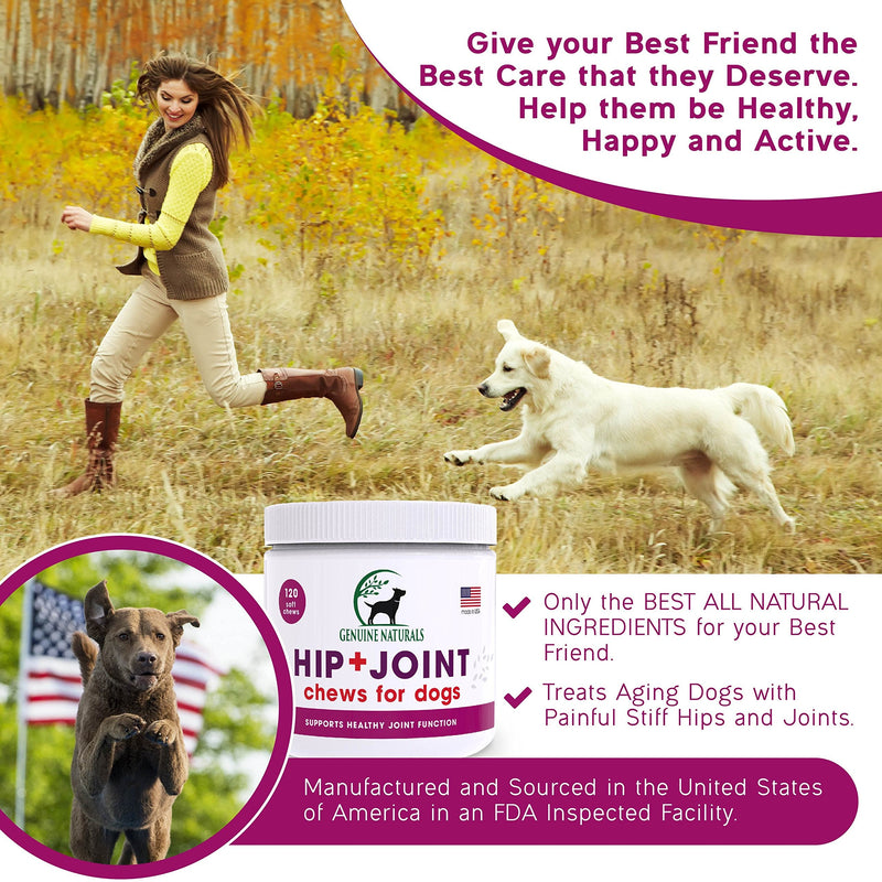 Genuine Naturals™ Glucosamine Chondroitin, MSM, Organic Turmeric Soft Chews, Hip and Joint Supplement for Dogs, Supports Healthy Joint Function and Helps with Pain Relief, 120-Count - BeesActive Australia