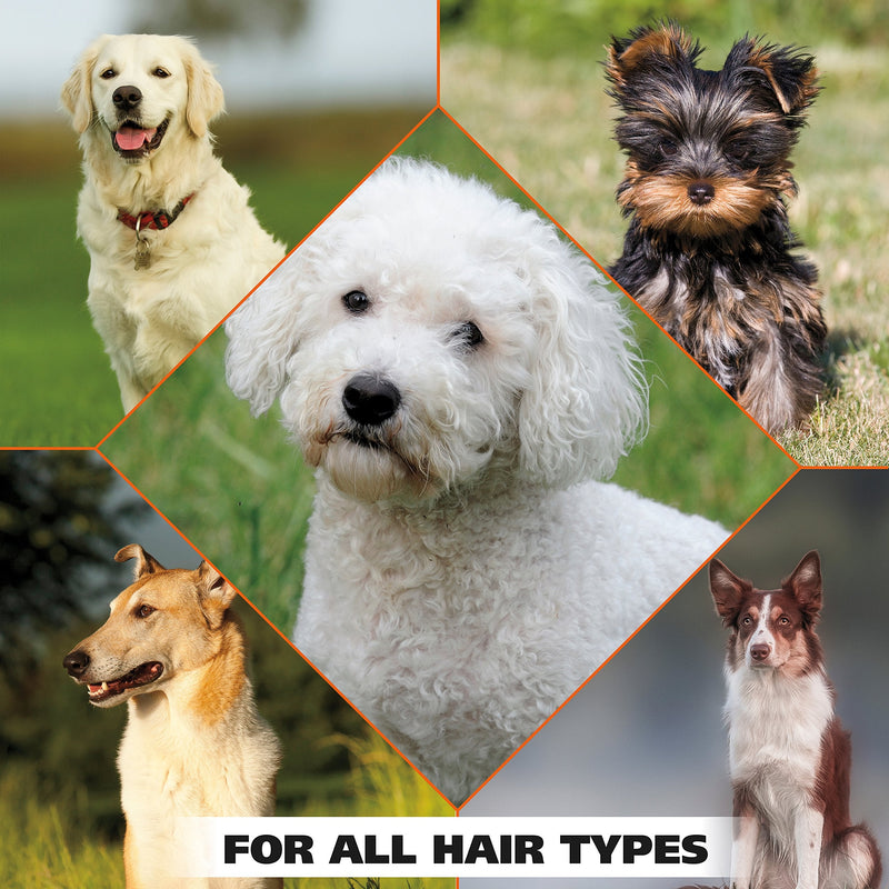 Wahl Pet Refresh Lavender Cleaning Wipes for All Dog Breeds - Use on Ears, Nose, Paws, Bottom, & Sensitive Areas - 50 Wipes - 820018A - BeesActive Australia
