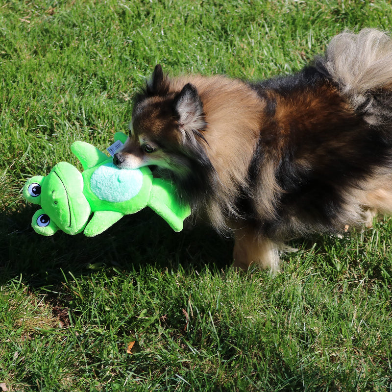 Snuggle Puppy Tender-Tuffs - Comfort Plush - Tough Dog Toy - Proprietary TearBlok Technology - Soft Green Frog with Squeaker - BeesActive Australia