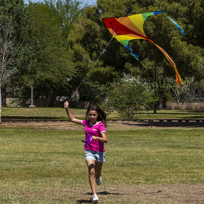 JOYIN 2 Packs Large Delta Kite Green and Rainbow Kite Easy to Fly Huge Kites for Kids and Adults with 262.5 ft Kite String, Large Delta Beach Kite for Outdoor Games and Activities - BeesActive Australia