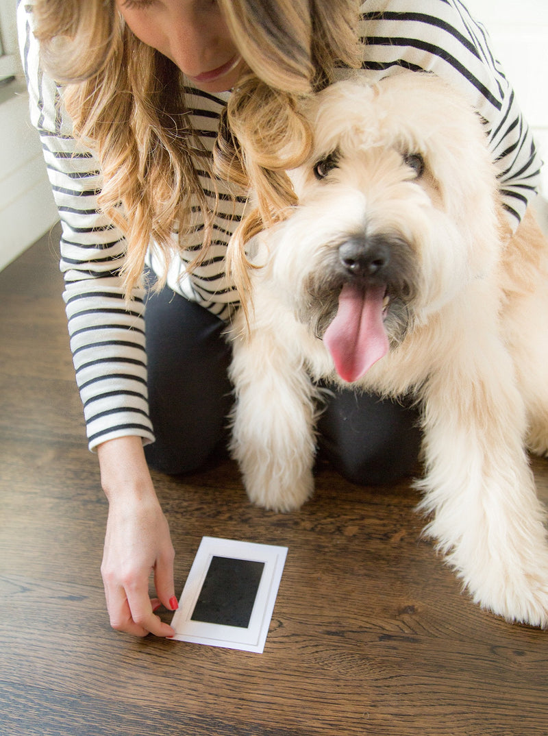 Kate & Milo Clean Touch Ink Pad, No Touch Ink Pad for Dog or Cat Paw Print, Pet Owner Keepsakes, Pawprint Makers, Black Ink - BeesActive Australia