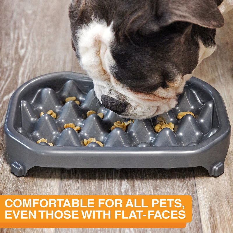 Neater Pet Brands - Neater Slow Feeder - Fun, Healthy, Stress Free Dog Bowl Helps Stop Bloat Prevents Obesity Improves Digestion (2.5 Cup, 6 Cup, Double Diner/w Water Bowl) Gunmetal 2.5 Cup Food - BeesActive Australia