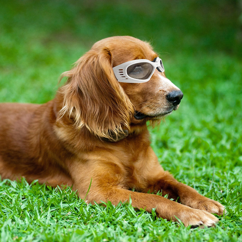 Vevins Dog Goggles Sunglasses UV Protective Foldable Pet Sunglasses Adjustable Waterproof Eyewear for Cat Dog White - BeesActive Australia