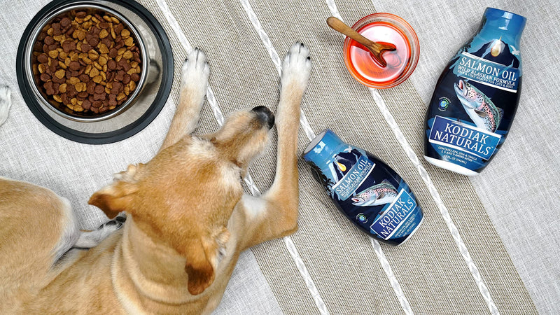 Kodiak Naturals, Wild Alaskan Salmon Oil Formula for Dogs & Cats, a Balanced Blend of Pure Fish Oils with EPA and DHA from Wild-Caught Fish. Support for Skin & Coat, Joints, and Immune Health 18 OZ - BeesActive Australia
