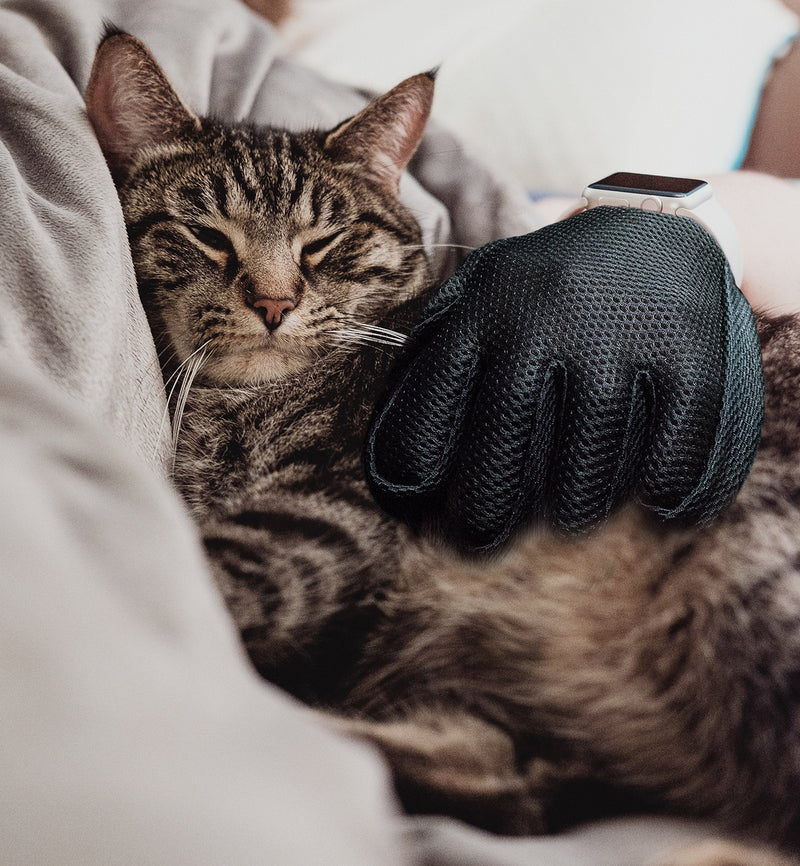 Bastex Pet Grooming Gloves in Pink. Gentle Deshedding Brush Glove. Great for Cats and Dogs with Long and Short Fur. Tool for Removing pet Hair Off Furniture and Rubber Tips for Massage. - BeesActive Australia