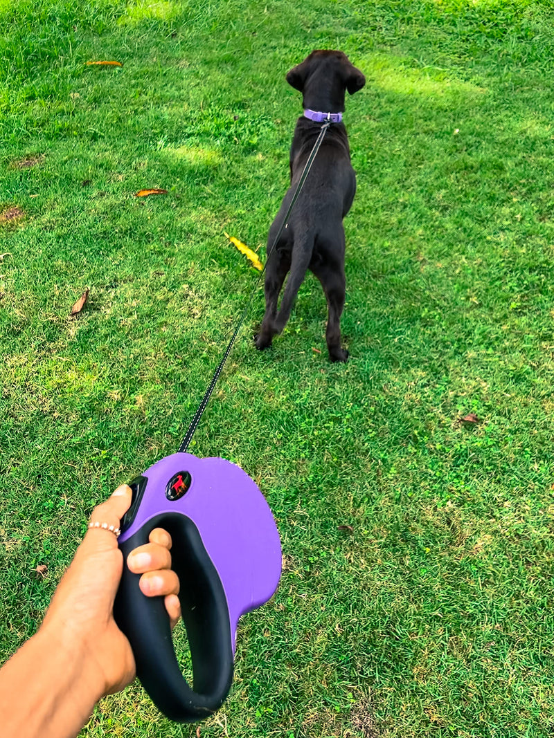 Tuff Pupper Heavy Duty Retractable Dog Leash | 16 ft Dog Leash with Reflective Stitching for Nighttime Safety | One Button Lock and Release | Comfortable Hand Grip | for Dogs Up to 120 lbs X-Large (Pack of 1) Ultra Violet - BeesActive Australia