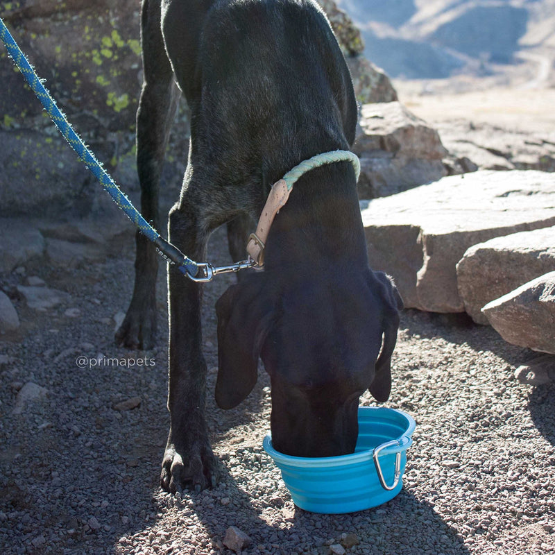 Prima Pet Collapsible Silicone Water Travel Bowl with Clip for Dog and Cat, Portable and Durable Pop-up Feeder for Convenient On-The-go Feeding – Size: Large (5 Cups) Aqua – 2 Pack LARGE (5 CUPS) - 2 PACK - BeesActive Australia