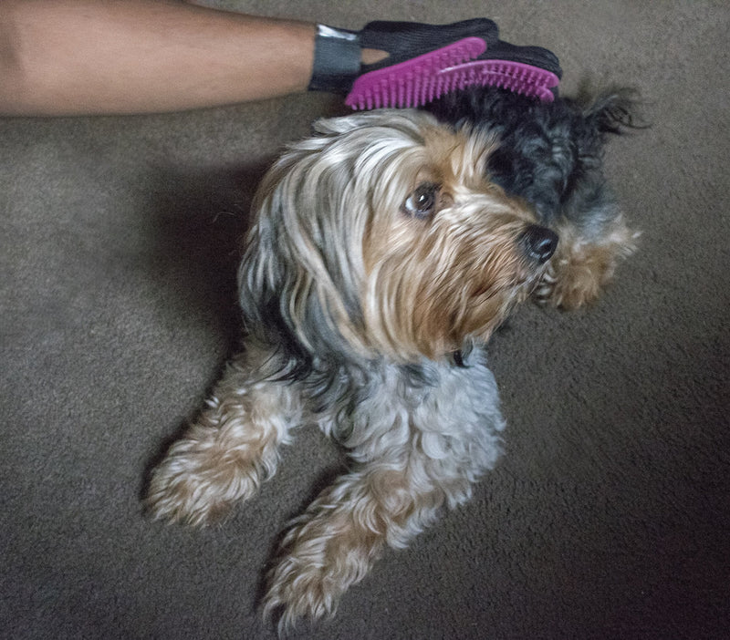 Bastex Pet Grooming Gloves in Pink. Gentle Deshedding Brush Glove. Great for Cats and Dogs with Long and Short Fur. Tool for Removing pet Hair Off Furniture and Rubber Tips for Massage. - BeesActive Australia