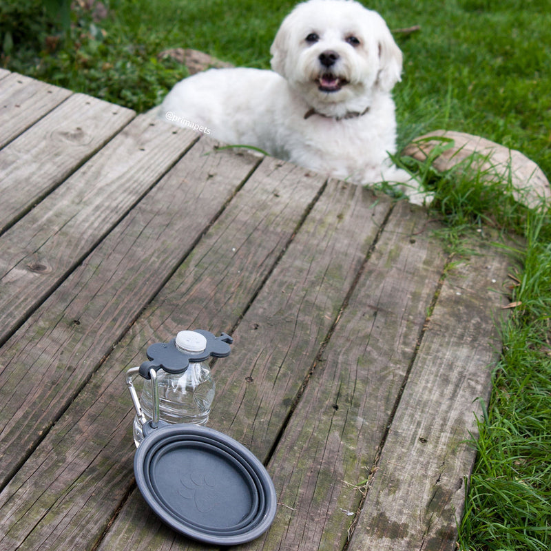 Prima Pets Collapsible Silicone Food & Water Travel Bowl with Clip for Dog and Cat: Small (1.5 Cups) + Bottle Holder, Gray GREY - BeesActive Australia