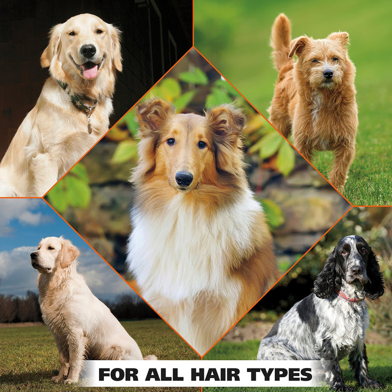 Wahl Pet Refresh Cleaning Wipes for All Dog Breeds - Use on Ears, Nose, Paws, Bottom, & Sensitive Areas - 50 Wipes - Model 820017A - BeesActive Australia