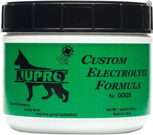 Nupro Custom Electrolyte Formula 1 lb Green - BeesActive Australia