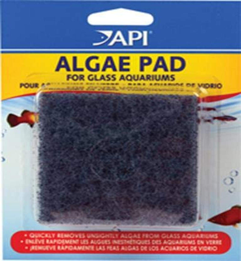 Algae SCRAPERS and Hand HELD Pads for Acrylic Aquariums (Pad,Aquarium Accessories) 1 Count - BeesActive Australia