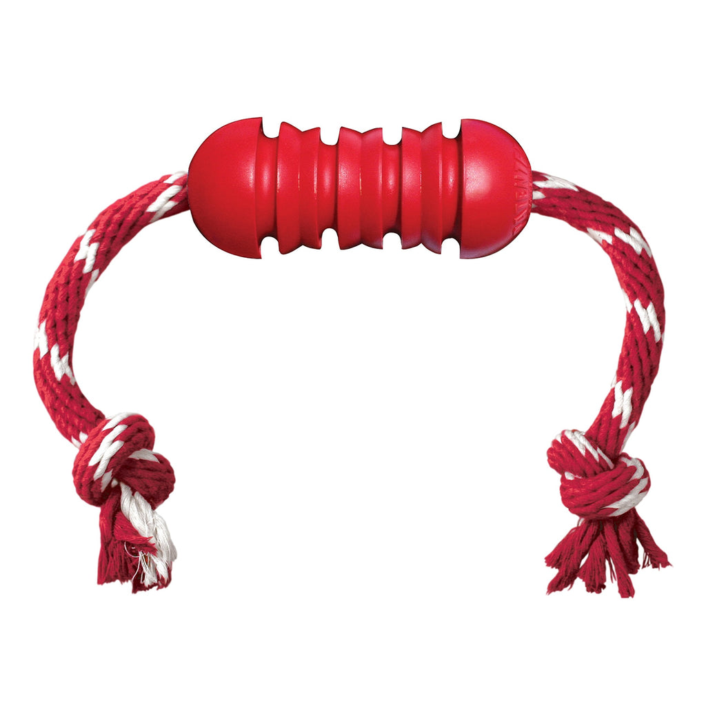 KONG - Dental with Rope - Durable Rubber, Teeth and Gum Cleaning Dog Toy Medium Standard Packaging - BeesActive Australia