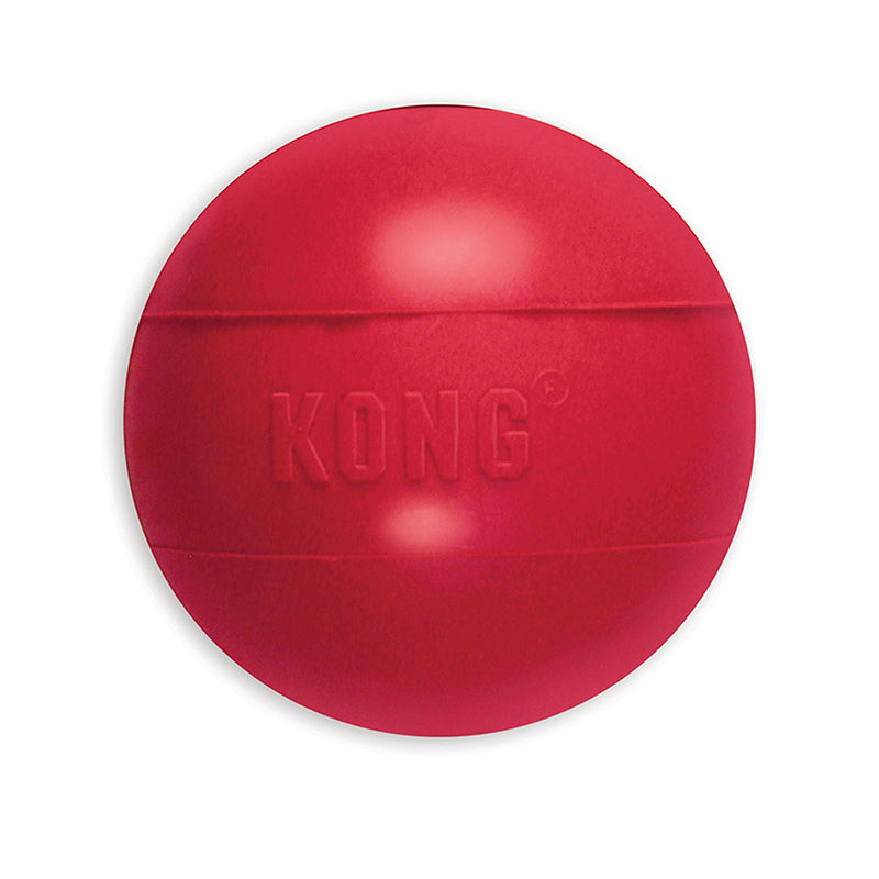KONG - Ball with Hole - Durable Rubber, Fetch Toy Medium/Large - BeesActive Australia